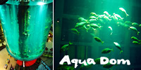 Sealife Center