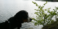 Berlin Urlaub mit Hund